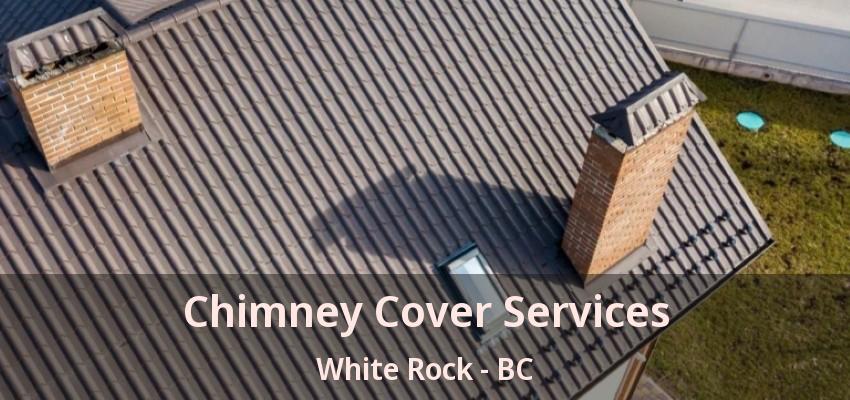 Chimney Cover Services White Rock - BC