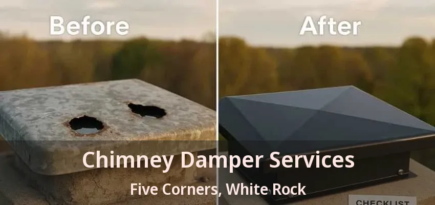 Chimney Damper Services Five Corners, White Rock - BC