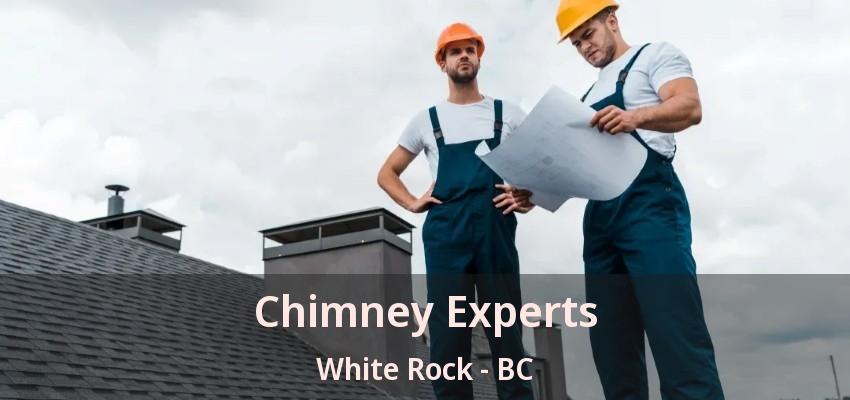 Chimney Experts White Rock - BC
