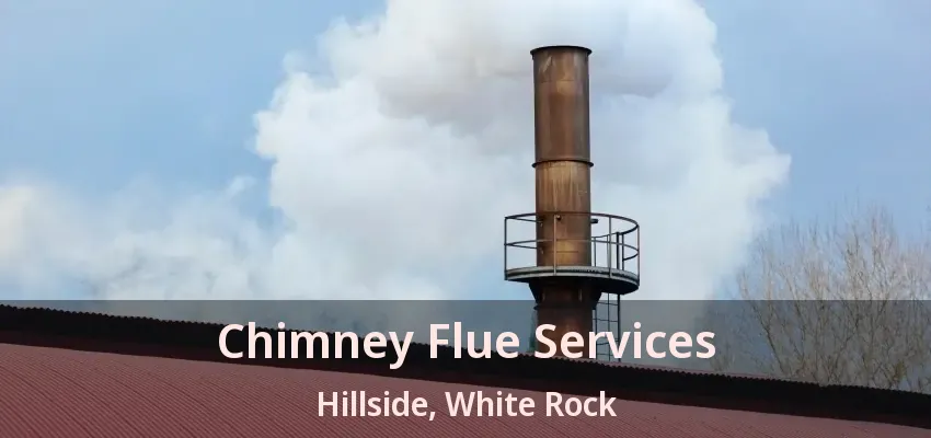 Chimney Flue Services Hillside, White Rock - BC