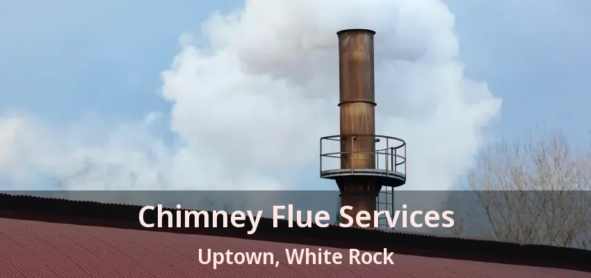Chimney Flue Services Uptown, White Rock - BC