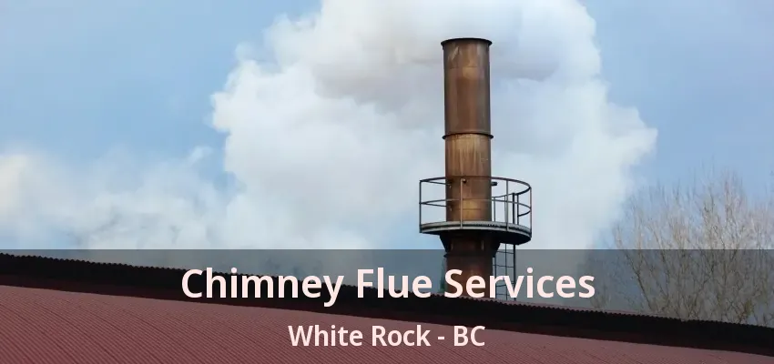 Chimney Flue Services White Rock - BC