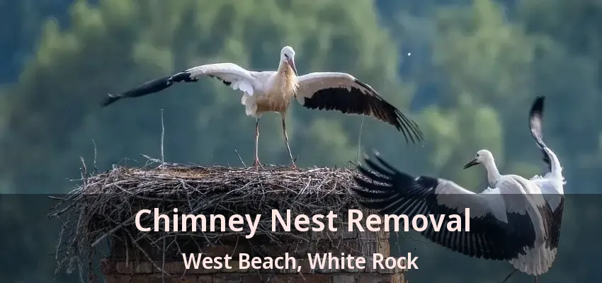 Chimney Nest Removal West Beach, White Rock - BC