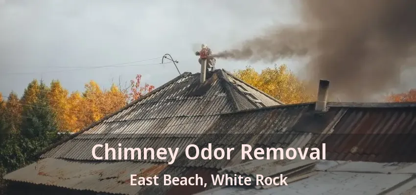 Chimney Odor Removal East Beach, White Rock - BC