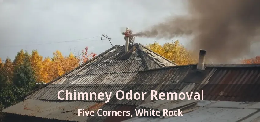 Chimney Odor Removal Five Corners, White Rock - BC