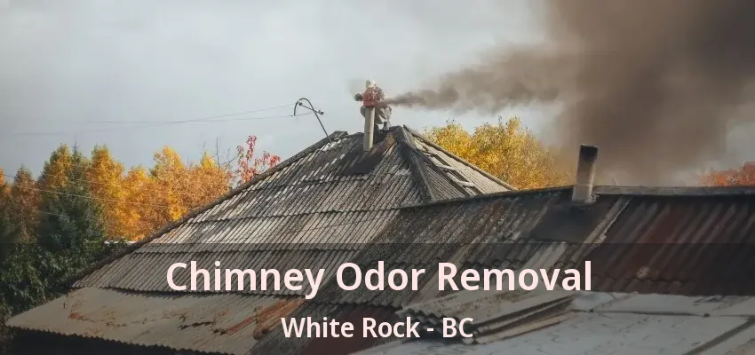 Chimney Odor Removal White Rock - BC
