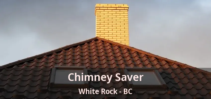 Chimney Saver White Rock - BC
