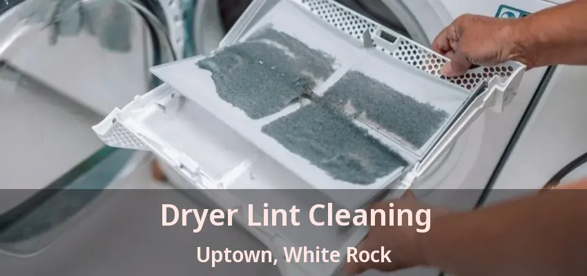 Dryer Lint Cleaning Uptown, White Rock - BC