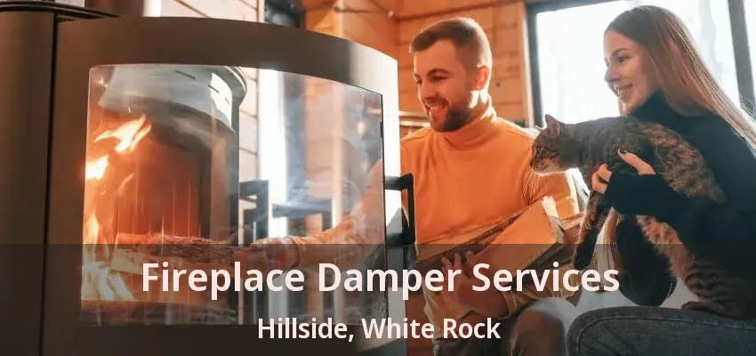 Fireplace Damper Services Hillside, White Rock - BC