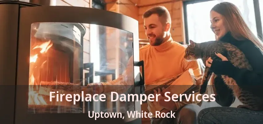 Fireplace Damper Services Uptown, White Rock - BC