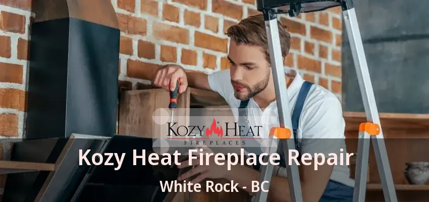 Kozy Heat Fireplace Repair White Rock - BC
