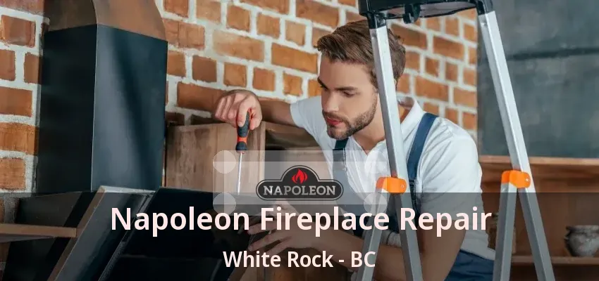 Napoleon Fireplace Repair White Rock - BC