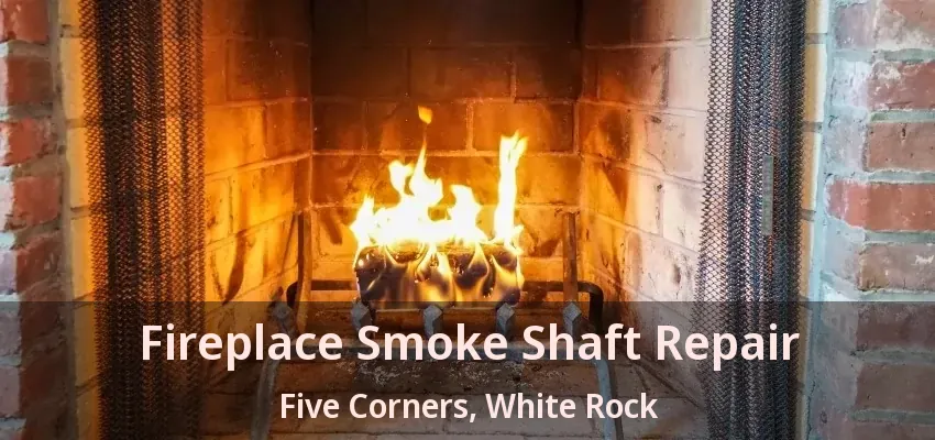Fireplace Smoke Shaft Repair Five Corners, White Rock - BC