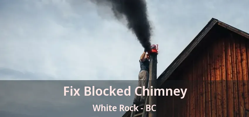 Fix Blocked Chimney White Rock - BC