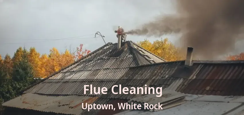 Flue Cleaning Uptown, White Rock - BC
