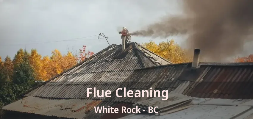 Flue Cleaning White Rock - BC