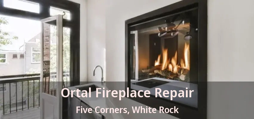 Ortal Fireplace Repair Five Corners, White Rock - BC