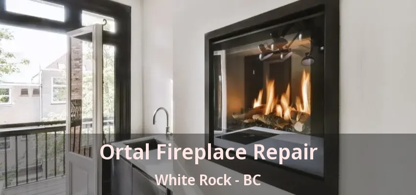 Ortal Fireplace Repair White Rock - BC