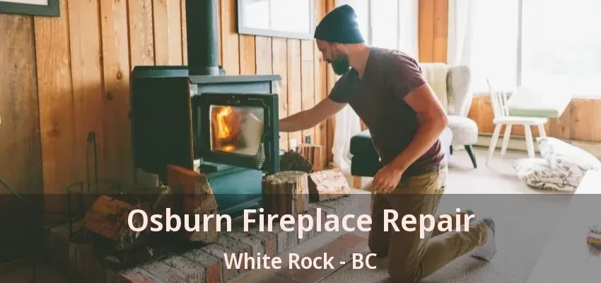 Osburn Fireplace Repair White Rock - BC