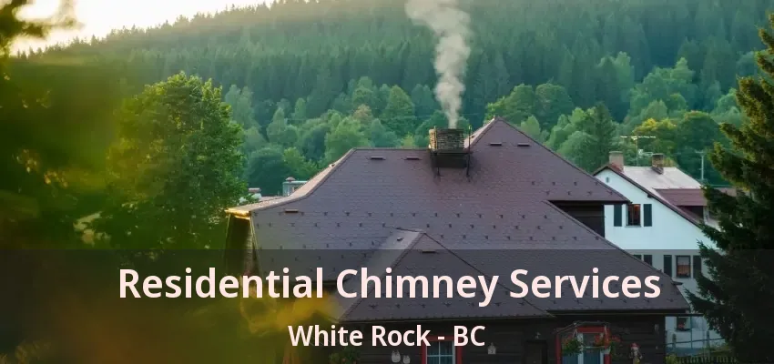 Residential Chimney Services White Rock - BC
