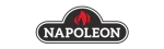 Napoleon Enviro Fireplace Repair in White Rock